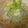 みかち♪'s cooksnap of when they made しらすと青ねぎのスパゲティ.