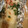 十万石饅頭's cooksnap of when they made 鮭のヤマイモとろろ焼き.