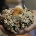 rakuen's cooksnap of when they made 香りちくわの焼きおにぎり.
