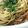 cocoりえ's cooksnap of when they made 豆乳ボロネーゼ（ミートソースパスタ）.