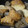 rakuen's cooksnap of when they made さつま揚げとこんにゃくのすりゴマ炒め.
