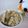 こり～'s cooksnap of when they made きのこいっぱい炊き込みご飯(薄味）♪.