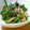 くぅやま's cooksnap of when they made ウチの美味しいほうれん草のゴマ和え.