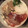 こめろちゃん's cooksnap of when they made うまうま海鮮丼.