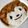 ｺｱﾗ's cooksnap of when they made デコカレー＊グラタン皿でおさるのカレー♪.