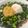 Ｒ's cooksnap of when they made 掴め男の胃袋！うどんde台湾まぜそば.