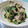 えみんちゅ＊'s cooksnap of when they made 春菊と豚肉のオイスター炒め.