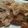 karirin9's cooksnap of when they made 鶏胸肉の塩ソース.