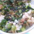 ユーロン's cooksnap of when they made 捨てちゃもったいない♪大根葉の菜飯.