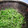 元クマ's cooksnap of when they made おかひじきのゴマ和え.