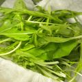 大魔女's cooksnap of when they made 香り野菜の保存法.