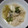 くろまめちよこ's cooksnap of when they made 凍った豆腐とエノキの煮物.