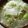 maruru-nn's cooksnap of when they made 野菜と春雨のヘルシースープ.