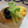 にこにこマドレーヌ's cooksnap of when they made 蒸しいなり寿司.