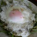 徹嫁っち's cooksnap of when they made じゃこで目玉焼き❤.