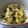 えみんちゅ＊'s cooksnap of when they made ☆ｷｬﾍﾞﾂのﾋﾞﾝ海苔ｿｰｽ和え♫☆.