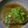 あっきん☆☆☆'s cooksnap of when they made 大根の煮物.