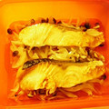 つまコロ's cooksnap of when they made ルクエで簡単♪鮭のバター焼き.