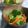 ピンクのたまご's cooksnap of when they made ブロッコリーと人参の生姜醤油和え.