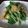 魔女鈴's cooksnap of when they made 簡単！麺つゆ使用！水菜の煮浸し.