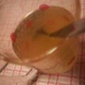 よっつぉん's cooksnap of when they made 美味しいジンジャーエールのずぼらな作り方.