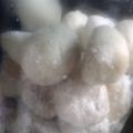 平成mamaちゃん's cooksnap of when they made 我んとこの、スノーボール.