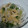 cominam's cooksnap of when they made 水菜とえのきのお浸し.