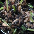 あっこりんママ's cooksnap of when they made しゃきしゃき水菜とひじきの梅サラダぁ～.