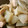 cookpad1年生's cooksnap of when they made 大根とごぼうと鶏肉の炊いたん.