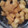 花乃衣's cooksnap of when they made さつまいもの甘煮.