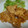 チッチ・デーデ's cooksnap of when they made 我が家の簡単♪海老マヨ～(＾＾)ｖ.