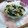 chocoly's cooksnap of when they made ささみとわかめ、もやしの酢みそ和え.