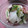えみんちゅ＊'s cooksnap of when they made ++タコときゅうりの醤油マヨ和え++.