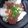 りえぼーちゃん's cooksnap of when they made 秋の味覚☆はらこ飯.