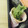 3姉妹ちゃんママ's cooksnap of when they made ☆お弁当に♬ハムマヨ☆.