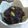 maruru-nn's cooksnap of when they made ひじきの☆ガーリックオイル炒め.