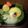 ゆかやんまま's cooksnap of when they made キャラ弁♪　ポケモン　ツタージャ.
