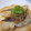 りえ亭's cooksnap of when they made 鱈のみぞれ煮.