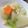 とっぽぎがおちゃん's cooksnap of when they made ✿大根と貝柱のやわらか煮✿ヘルシー♪.