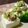 おらんでう～たん's cooksnap of when they made ＊簡単美味＊はんぺんの梅ブロッコリーソース.