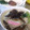 ユーロン's cooksnap of when they made 椎茸たくさんの茶碗蒸し♪.