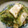 なひぽん's cooksnap of when they made 簡単★ゴーヤと厚揚げの和えもの★.