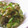 nyaokun's cooksnap of when they made 胡瓜と新生姜の和え物.