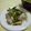 こり～'s cooksnap of when they made 長ネギとカキのバター炒め.