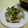 こり～'s cooksnap of when they made 長ネギとカキのバター炒め.