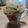 空遥☆ましゃlove's cooksnap of when they made 簡単すぎる！レンジdeマグカップケーキ.
