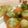 のりぞ～♪'s cooksnap of when they made サーモンの手毬ポテサラ♪バジル風味で♪.