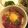 あい葉's cooksnap of when they made まぐろの漬け！.