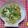 catsmama's cooksnap of when they made 鶏の南蛮煮.