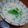 ツナtama's cooksnap of when they made アサリとシメジの豆乳汁.